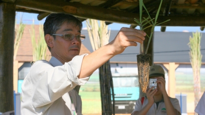 A cana no ritmo do MPB