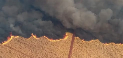 Onda de incêndios em SP provocou perdas de R$ 1 bilhão na agropecuária, diz governo estadual