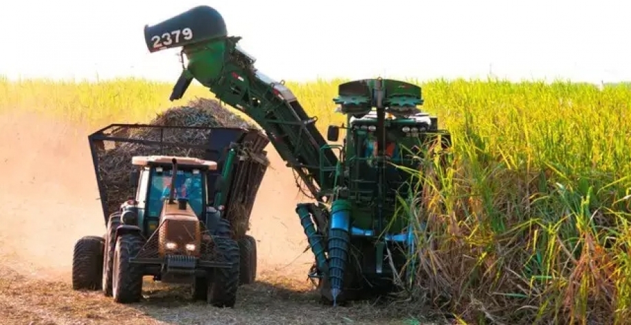 Colheita de cana-de-açúcar em área agrícola na região sul de MS. (Foto: Divulgação/Biosul)