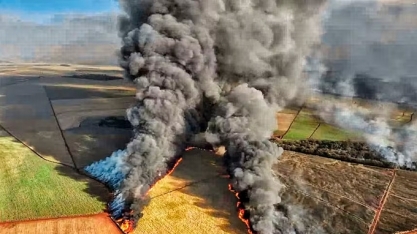 Presidente da Câmara Setorial de Açúcar e Álcool e da Unida pede investigação e repudia incêndios criminosos em São Paulo