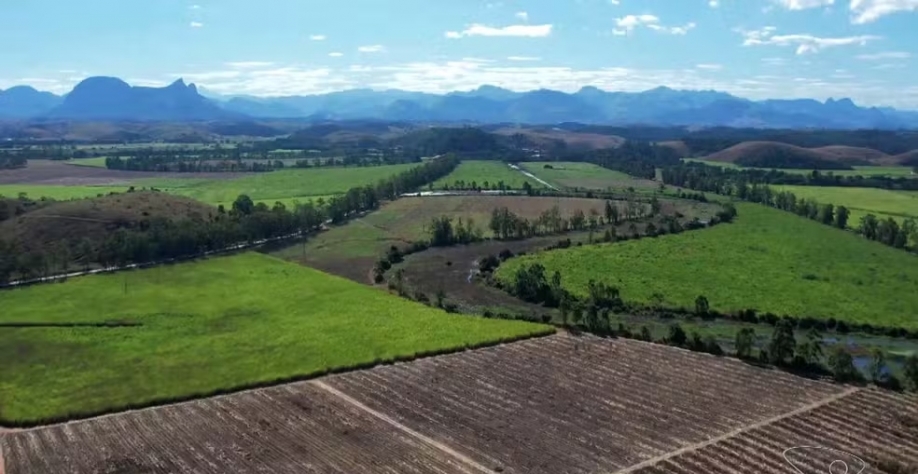 Indústria de beneficiamento de cana de açúcar arrenda matéria-prima para garantir produção o ano inteiro no Sul do Espírito Santo. — Foto: TV Gazeta
