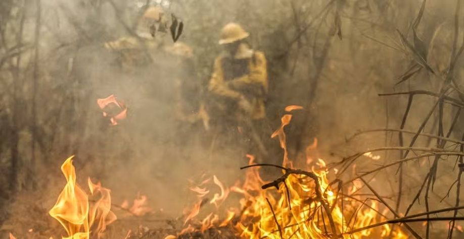 As novas formas de manejo valerão para incêndio florestal, queima controlada, uso tradicional do fogo e combate à incêndio florestal, entre outros — Foto: Marcelo Camargo/Agência Brasil