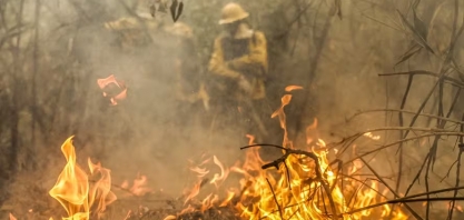 Governo institui nova política nacional de manejo de fogo