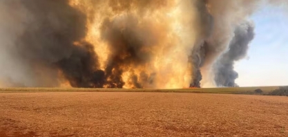 Perdas com queimadas em canaviais de SP já alcançam R$ 500 milhões