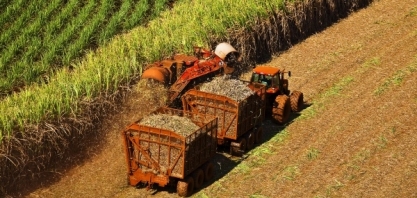 Moagem atinge 51,3 milhões de toneladas na 2ª quinzena de julho