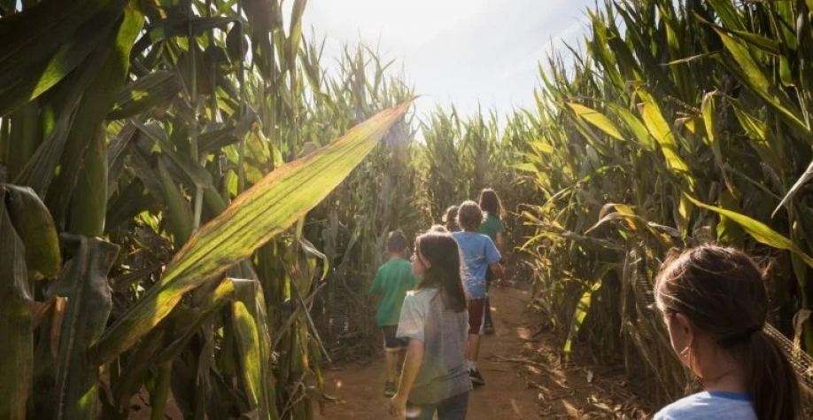 Ensino sobre a produção no campo precisa também ser inclusivo. VAWiley_Getty