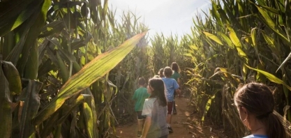 Por uma educação de qualidade e sem fronteiras