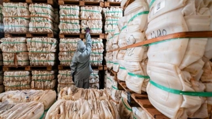 Destinação correta de embalagens de defensivos agrícolas é destaque no Dia Nacional do Campo Limpo, em Cuiabá