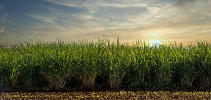 Preço do etanol teve queda de 8% nos quatro primeiros meses do ano