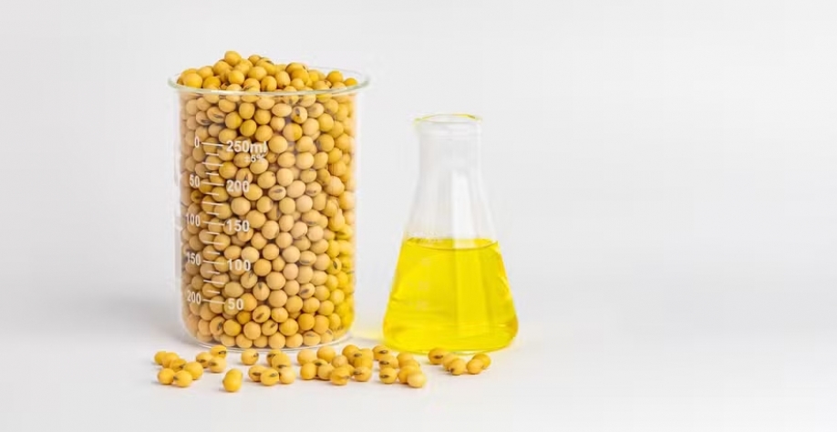 Para o ano, a previsão é de uma demanda de cerca de 8,5 bilhões de litros de biodiesel no país — Foto: GettyImages