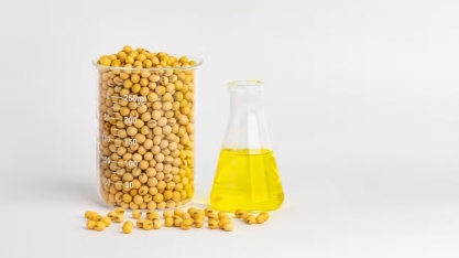 Dia Internacional do Biodiesel: entenda como é feito o biocombustível de soja