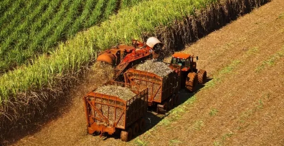 Máquina opera na colheita da cana cultivada em usina; estiagem acentuada preocupa produtores. (Foto: Divulgação/CTC)