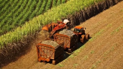 Seca faz produtividade da cana cair 12% em julho na região Centro-Sul