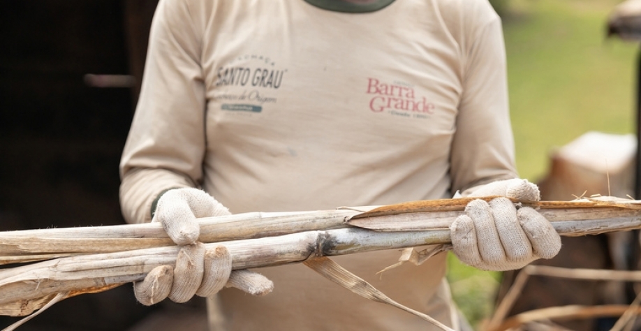 Fazenda Barra Grande tem produção de cana de açúcar mais sustentável e ganha certificação estadual. (Foto: Wilker Maia/Casa da Comunicação Franca)