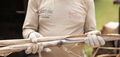  Fazenda Barra Grande tem produção de cana de açúcar mais sustentável e ganha certificação estadual