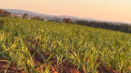 Alagoas vai remunerar proprietários de RPPNs e agricultores familiares
