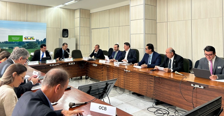 Evento foi realizado em Brasília - Foto: Assessoria