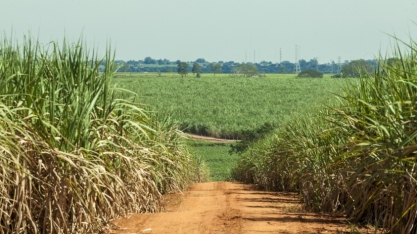 MME fomenta cooperação no setor sucroenergético em reunião com o Ministro da Indústria do Açúcar de Fiji
