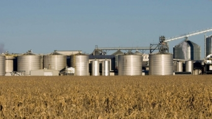 Biodiesel e Bioquerosene: Pilares centrais da transição energética no Brasil