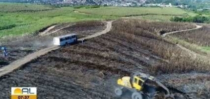 Fornecedores de cana-de-açúcar podem receber dinheiro por diminuir emissões de gases