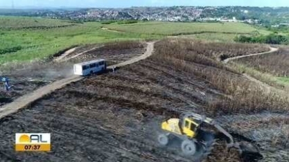 Fornecedores de cana-de-açúcar podem receber dinheiro por diminuir emissões de gases