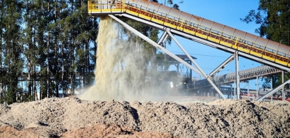 Biomassa: recurso fundamental no processo da transição energética