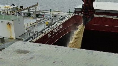 Tereos faz o maior embarque de açúcar de sua história em um só navio