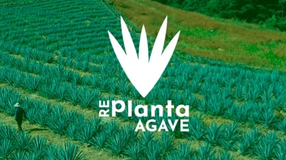 Edital vai selecionar empresa para capacitar produtores de agave do semiárido baiano, com foco na produção de etanol