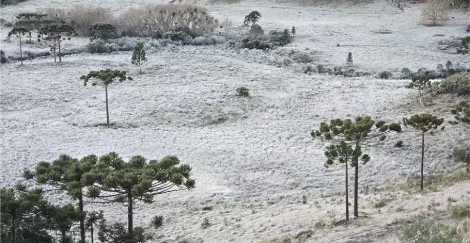 Geada no Vale da Neve em Santa Catarina — Foto: Mycchel Legnaghi/@saojoaquimonline.com.br