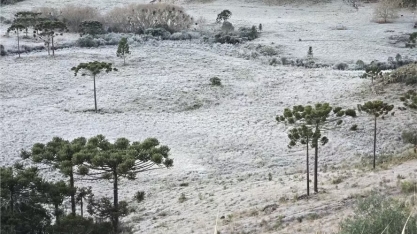 Semana começa com alerta de geada no Sul do país e chuva no Norte