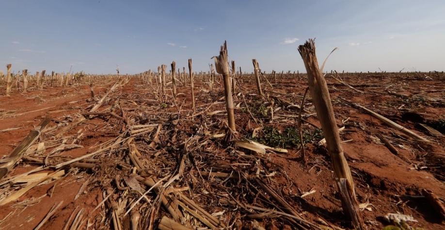 Crédito: Cristiano Machado / Imprensa MG