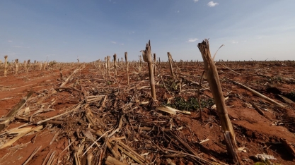 Triângulo Mineiro terá investimento de R$ 1 bi para receber indústria de açúcar e etanol