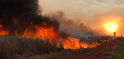 Usina Santa Adélia oferece recompensa de R$ 20 mil por informações sobre incêndios em canaviais