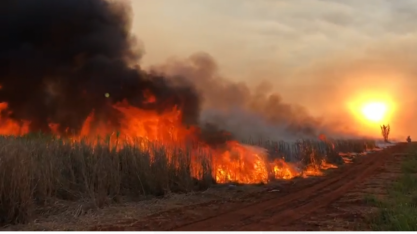 Usina Santa Adélia oferece recompensa de R$ 20 mil por informações sobre incêndios em canaviais
