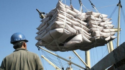 Megacana: tradings discutem as tendências do açúcar no mercado mundial