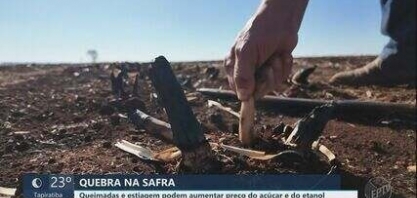Queimadas e estiagem podem aumentar preço do açúcar e do etanol