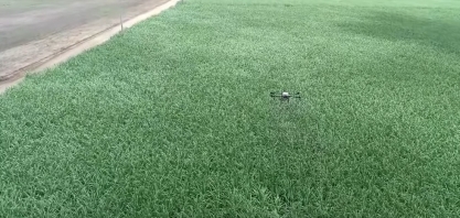 Solo arenoso é recuperado com vinhaça e produz mais de 100 toneladas de cana por hectare em AL