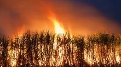 O fogo que destrói por onde passa