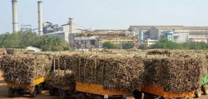 Índia eleva mistura de etanol: Impactos globais