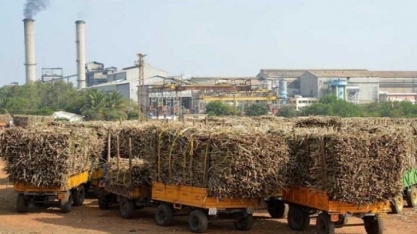 Índia eleva mistura de etanol: Impactos globais