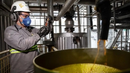 Etanol registra valorização em Mato Grosso na 1ª quinzena de agosto