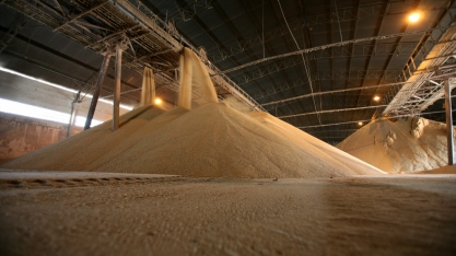 Açúcar: reviravolta à vista ou alarme falso?