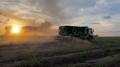 Calcário agrícola enriquecido diminui infestações de pragas nos canaviais da Usina Caeté