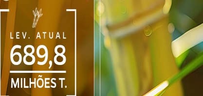 Produção de cana-de-açúcar é estimada em 689,8 milhões de toneladas na safra 2024/2025