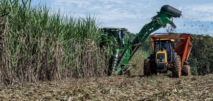 Expectativa é de recorde na safra de cana-de-açúcar 2024/25 em Minas Gerais