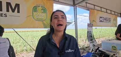 Nordeste busca inovações na área de nutrição dos canaviais e abraça a Caltim Fertilizantes Essenciais