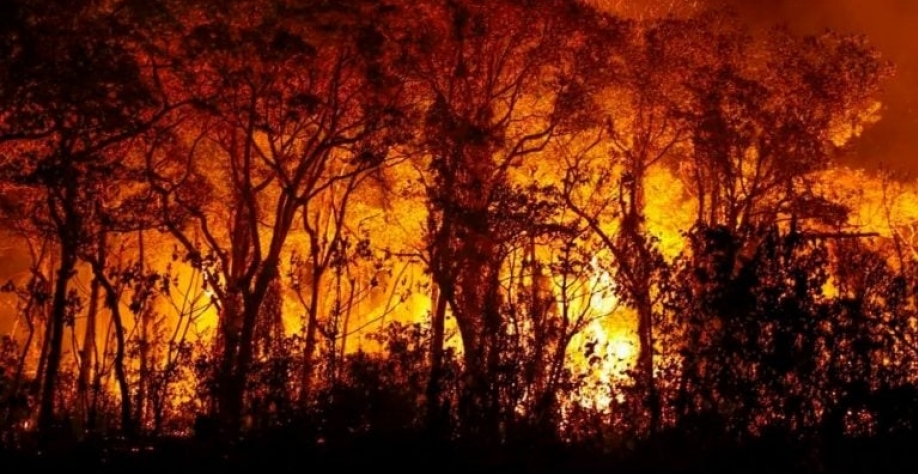 No acumulado do ano, até a data de ontem, o Brasil registrou 180.137 focos. JoedsonAlves_AgBrasil