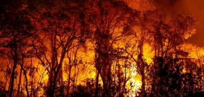 Brasil em chamas: país registra 71,9% das queimadas na América do Sul nas últimas 48h