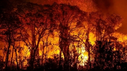 Brasil em chamas: país registra 71,9% das queimadas na América do Sul nas últimas 48h