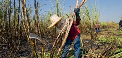 Produção de açúcar da Tailândia caiu 20% em 2023/24, dizem autoridades